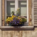 7 fejl du bør undgå, når du skal finde facaderenovering